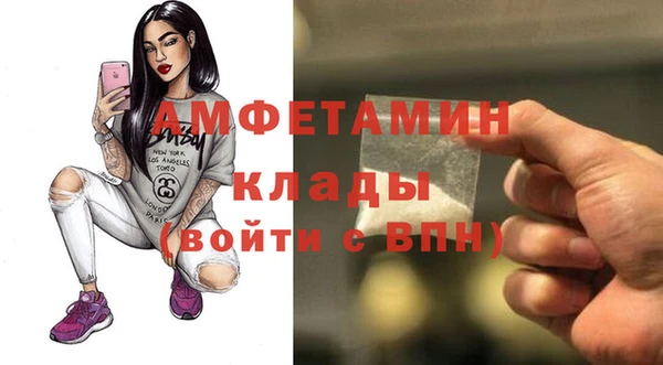 МДПВ Пересвет
