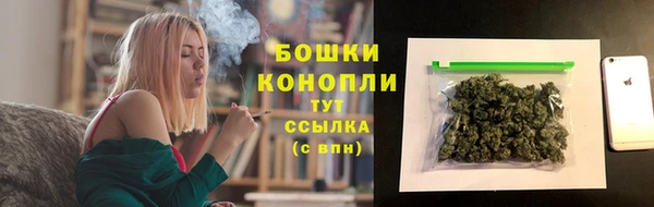 скорость Пестово