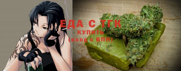 МДПВ Пересвет