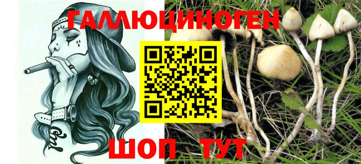 Галлюциногенные грибы ЛСД  Псилоцибиновые грибы GOLDEN TEACHER  Переславль-Залесский 