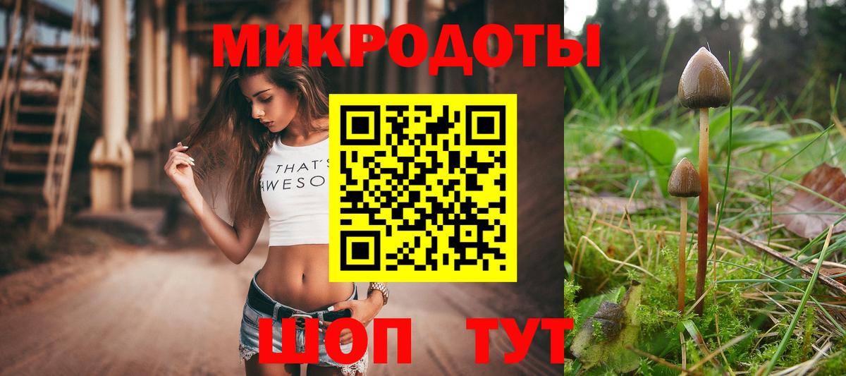 Псилоцибиновые грибы Psilocybe Переславль-Залесский