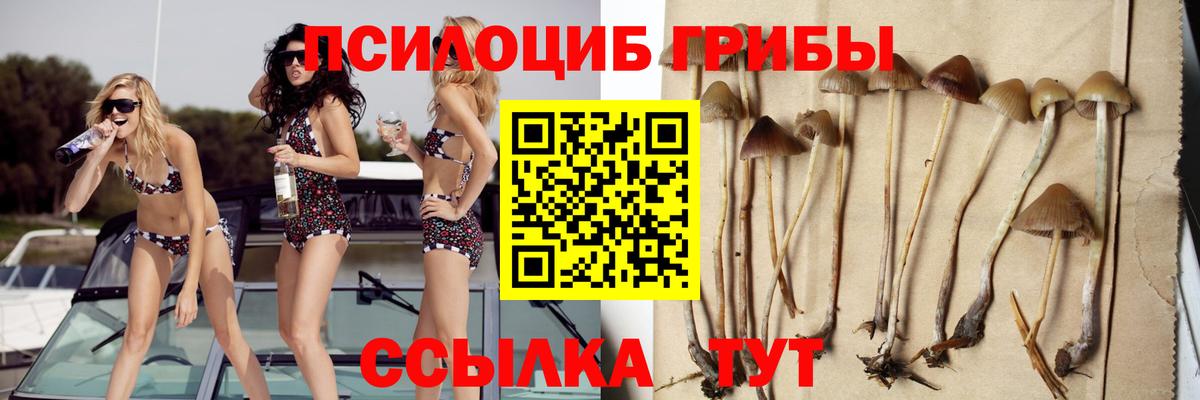 Псилоцибиновые грибы Psilocybine cubensis  Вход с VPN  как найти закладки  Галлюциногенные грибы мицелий  Переславль-Залесский 
